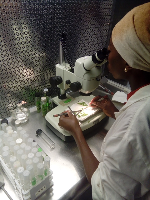 The synthetic biology market will reach $62 billion by 2030