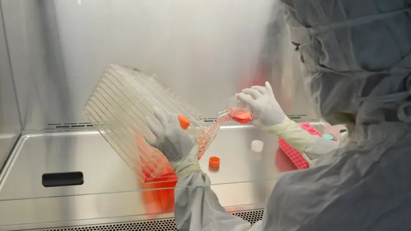 By 2049, Engineered Bacteriophages Will Become Part Of Standard Clinical Protocols For Treating Antibiotic-resistant Bacterial Infections. By 2049, Engineered Bacteriophages Will Become Part Of Standard Clinical Protocols For Treating Antibiotic-resistant Bacterial Infections.