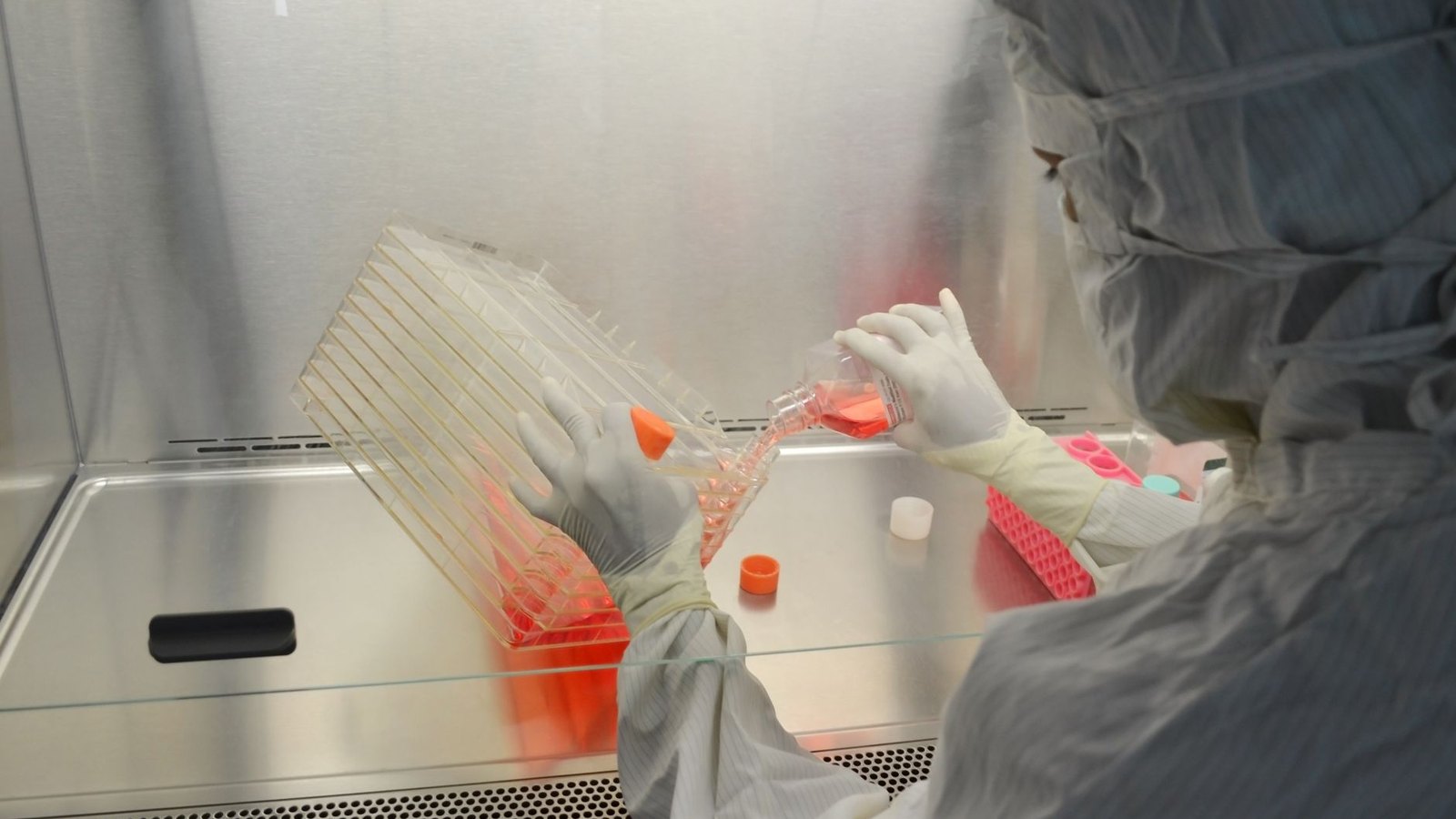 By 2049, Engineered Bacteriophages Will Become Part Of Standard Clinical Protocols For Treating Antibiotic-resistant Bacterial Infections.