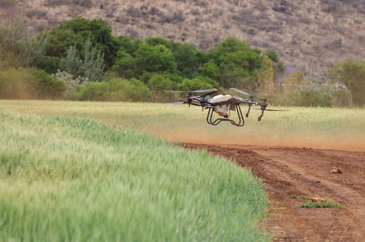 Autonomous Drone Swarms Are Used In Border Security And Reconnaissance Missions.