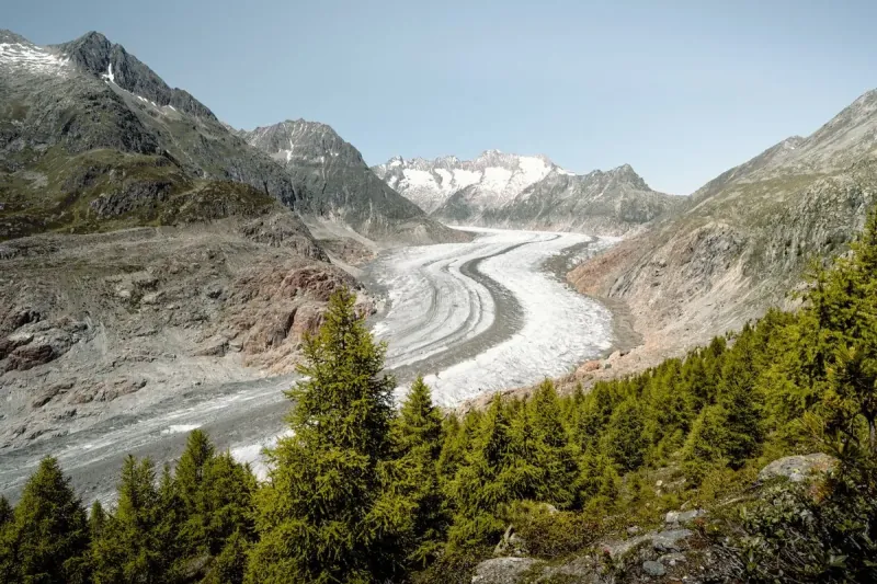 Global Carbon Emissions Fall To Zero. Global Carbon Emissions Fall To Zero.