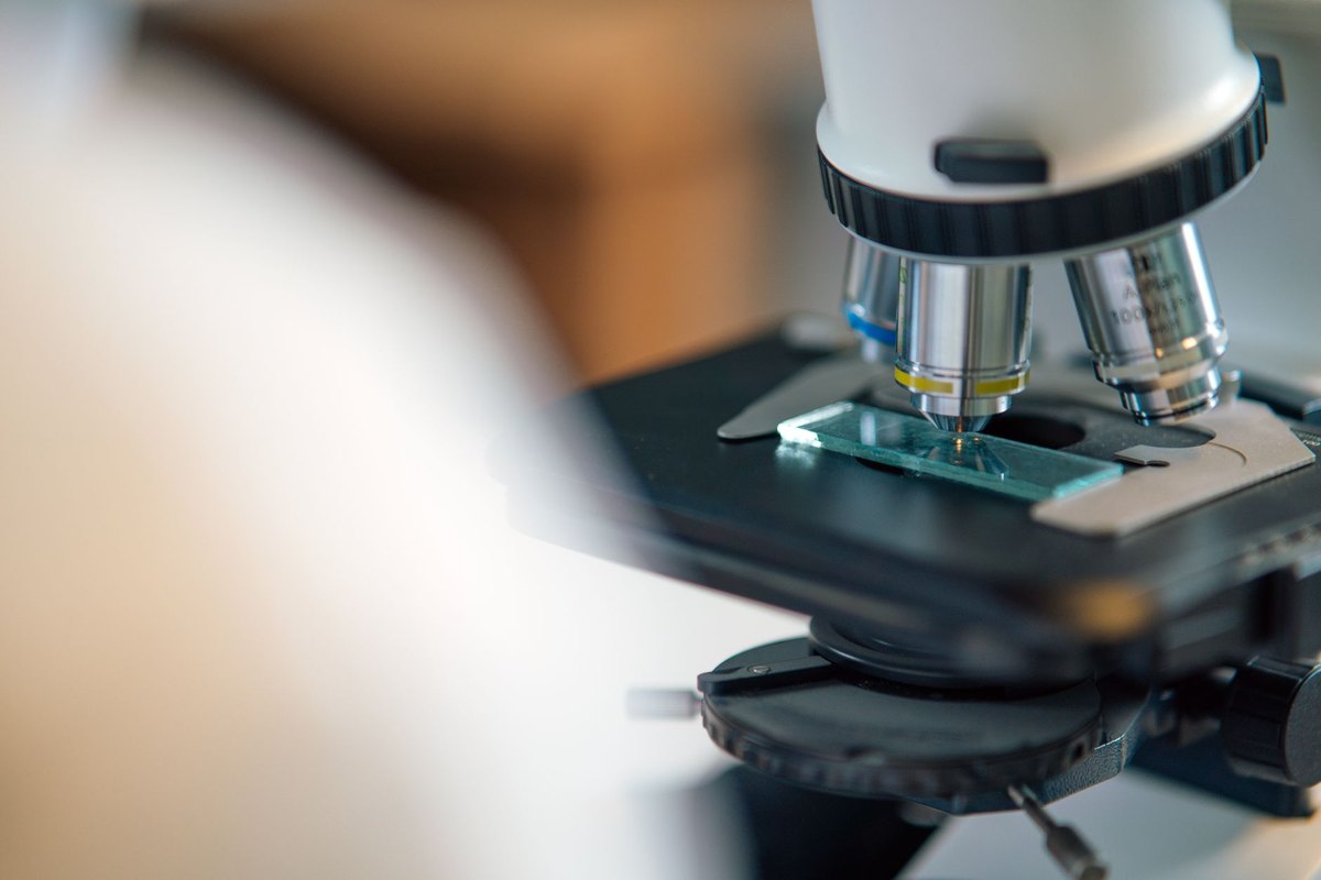 The Market Size Of AI-driven Materials Discovery Will Reach $2.77 Billion By 2030.
