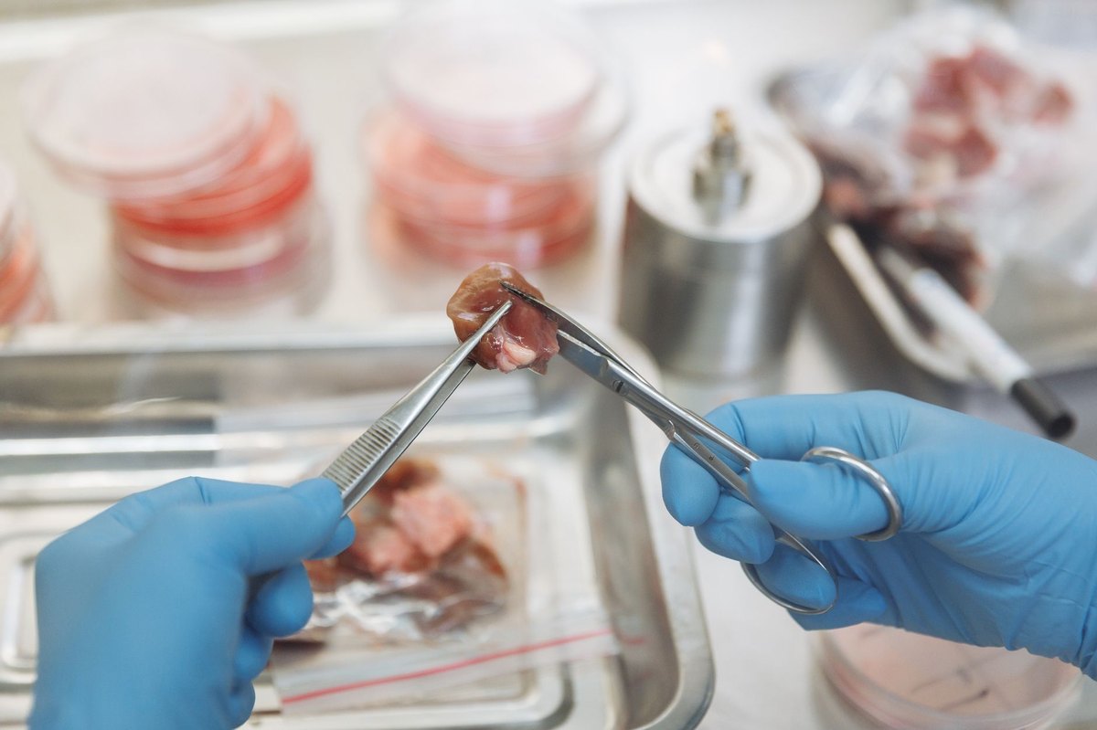 The UK Will Officially Approve At Least One Cultivated (Lab-grown) Meat Product For Commercial Sale By The End Of 2027.