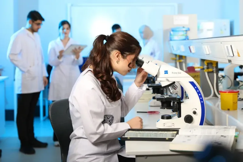 Brain Mapping Projects Are Expected To Map A Large Portion Of The Human Brain. Brain Mapping Projects Are Expected To Map A Large Portion Of The Human Brain.