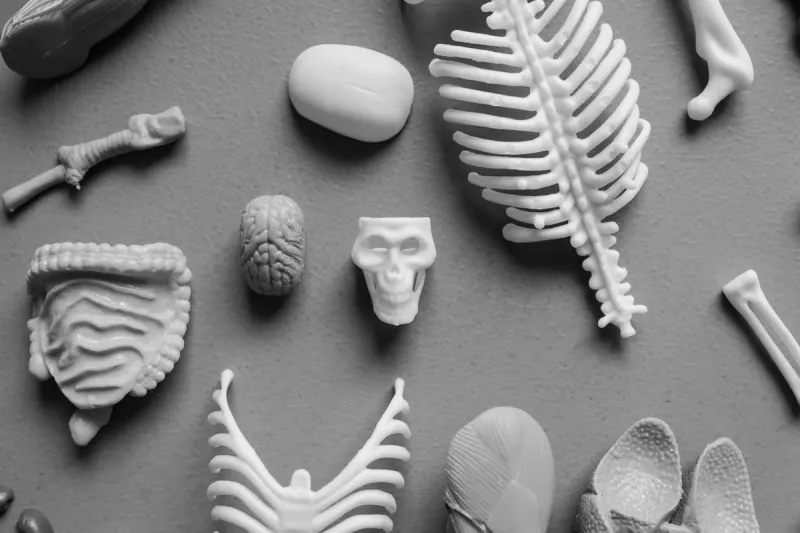 Neuroimplants Are Expected To Substantially Increase Memory And Learning Capacity. Neuroimplants Are Expected To Substantially Increase Memory And Learning Capacity.