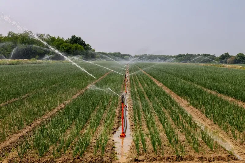 Smart Irrigation Systems Will Reduce Agricultural Water Use By 40% Smart Irrigation Systems Will Reduce Agricultural Water Use By 40%