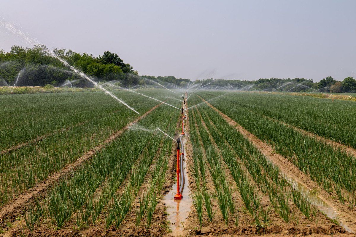 Smart Irrigation Systems Will Reduce Agricultural Water Use By 40%