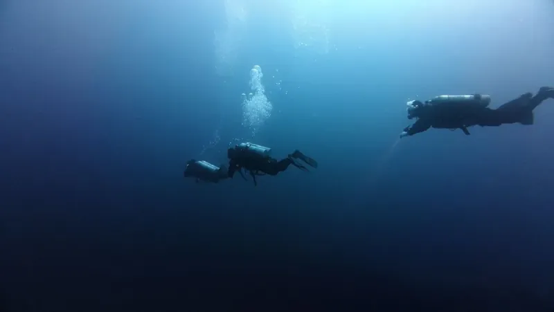 Artificial Reefs For Marine Life Will Be Produced Using 3D Printing. Artificial Reefs For Marine Life Will Be Produced Using 3D Printing.