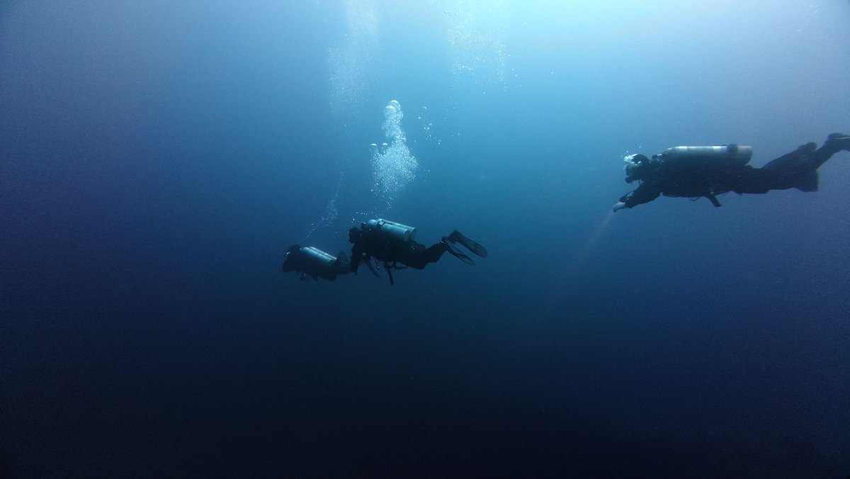 Artificial Reefs For Marine Life Will Be Produced Using 3D Printing.