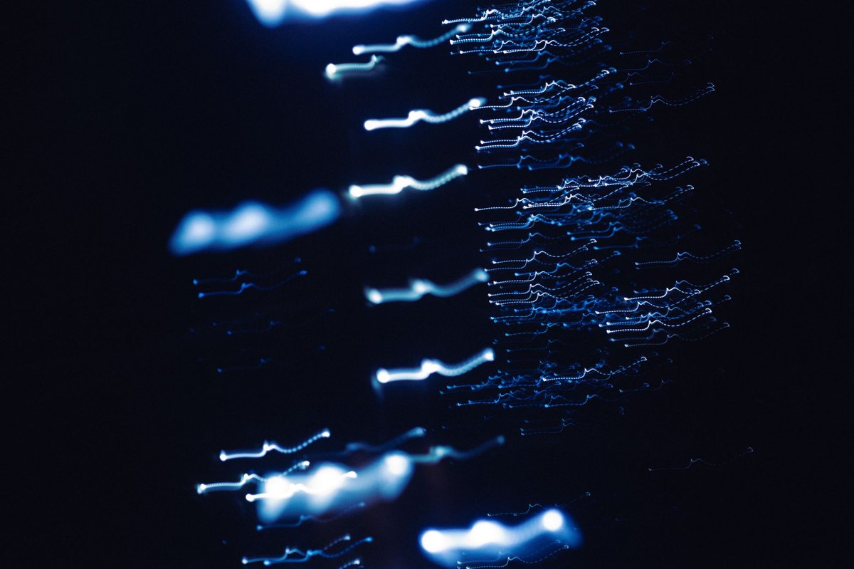 Multimodal AI Models Process Text, Images, Audio And Video Simultaneously And Enter Mainstream Applications.